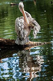 蒸汽平台首次夏季特卖开启，无时差无差价更有惊喜壕礼！